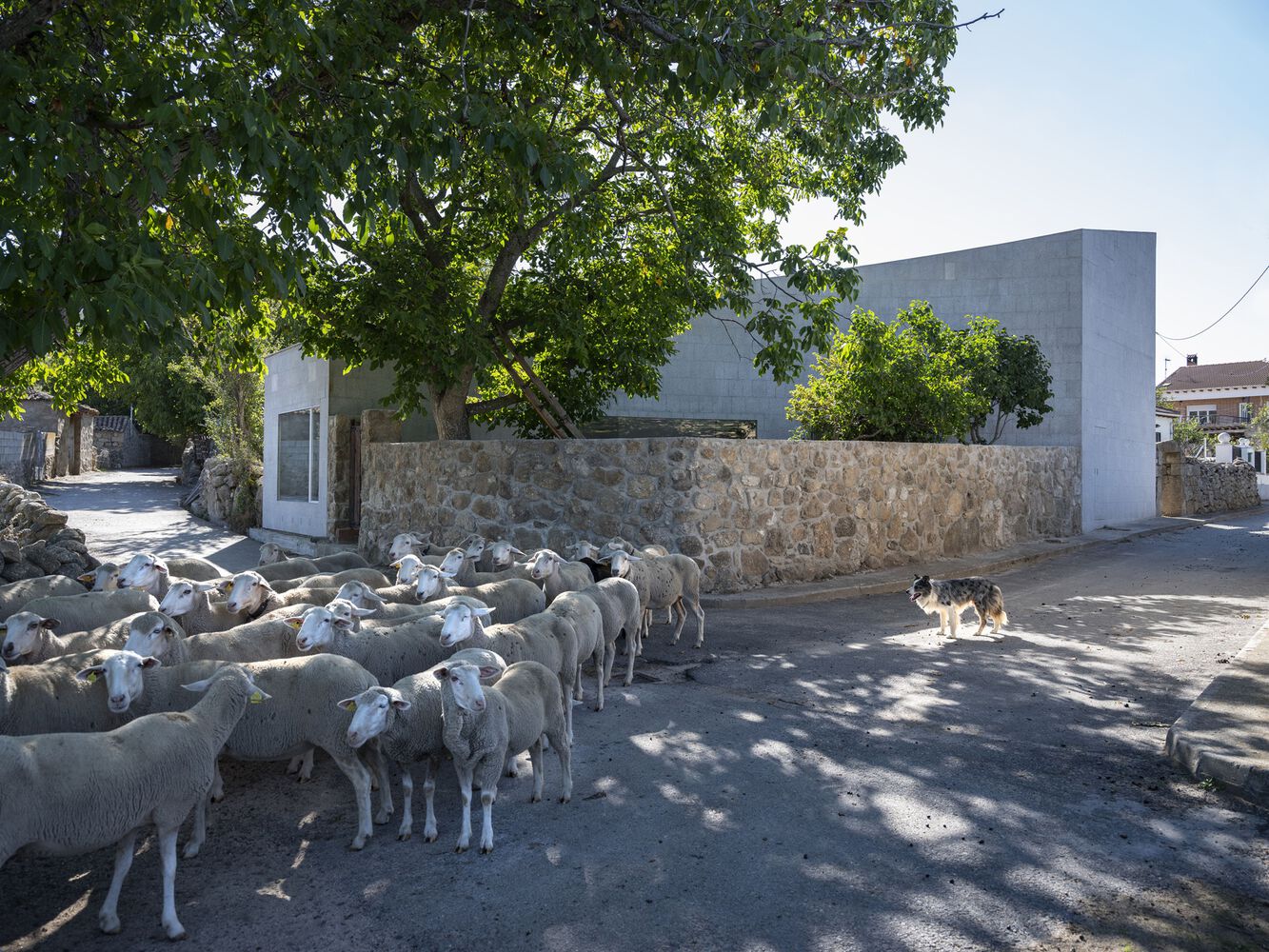 Casa del Nogal