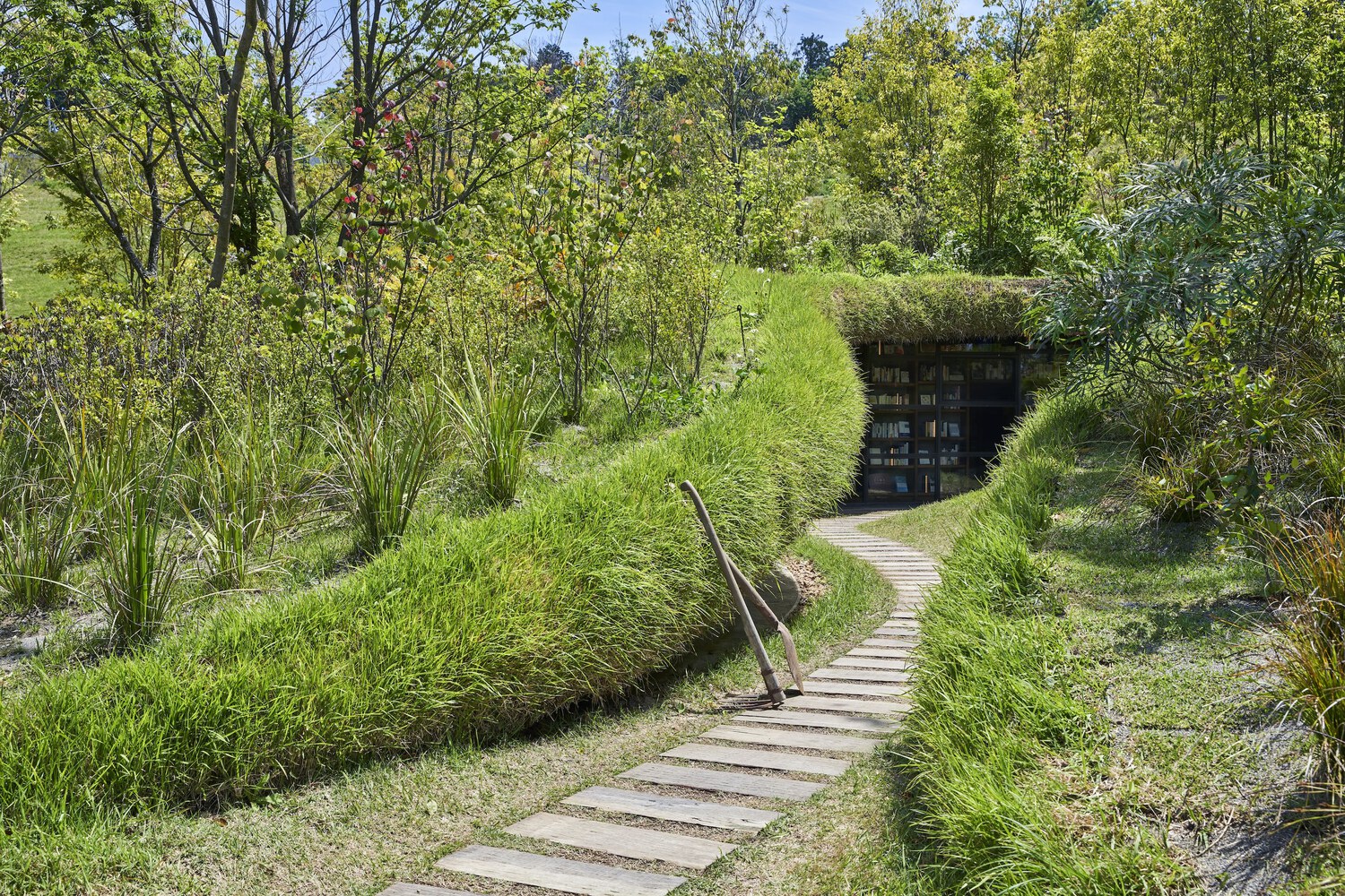 Podzemná knižnica,Kurrku Fields, Kisarazu, Japonsko