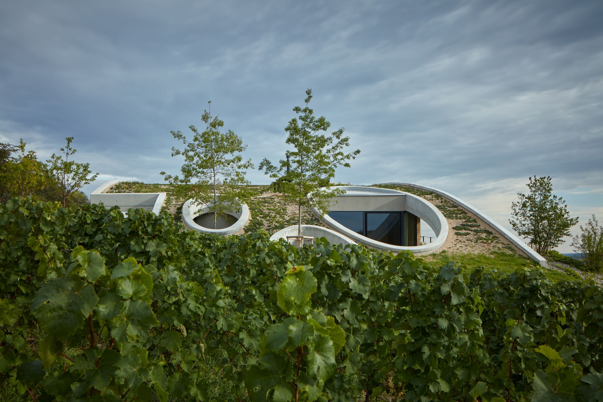 Udržateľné postupy vo vinárstve charakterizujú nielen techniku spracovania vína, ale aj prístup k stavbe.