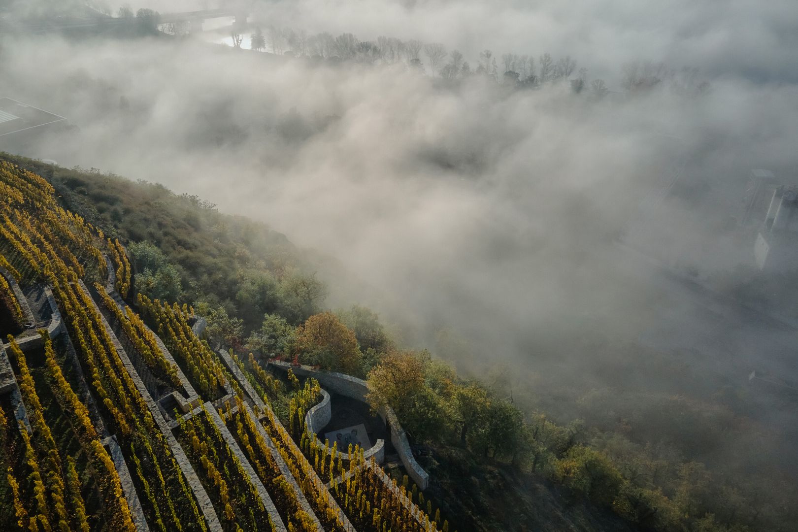 Stredomorská oáza nad Prahou sa inšpirovala Fibonacciho postupnosťou.