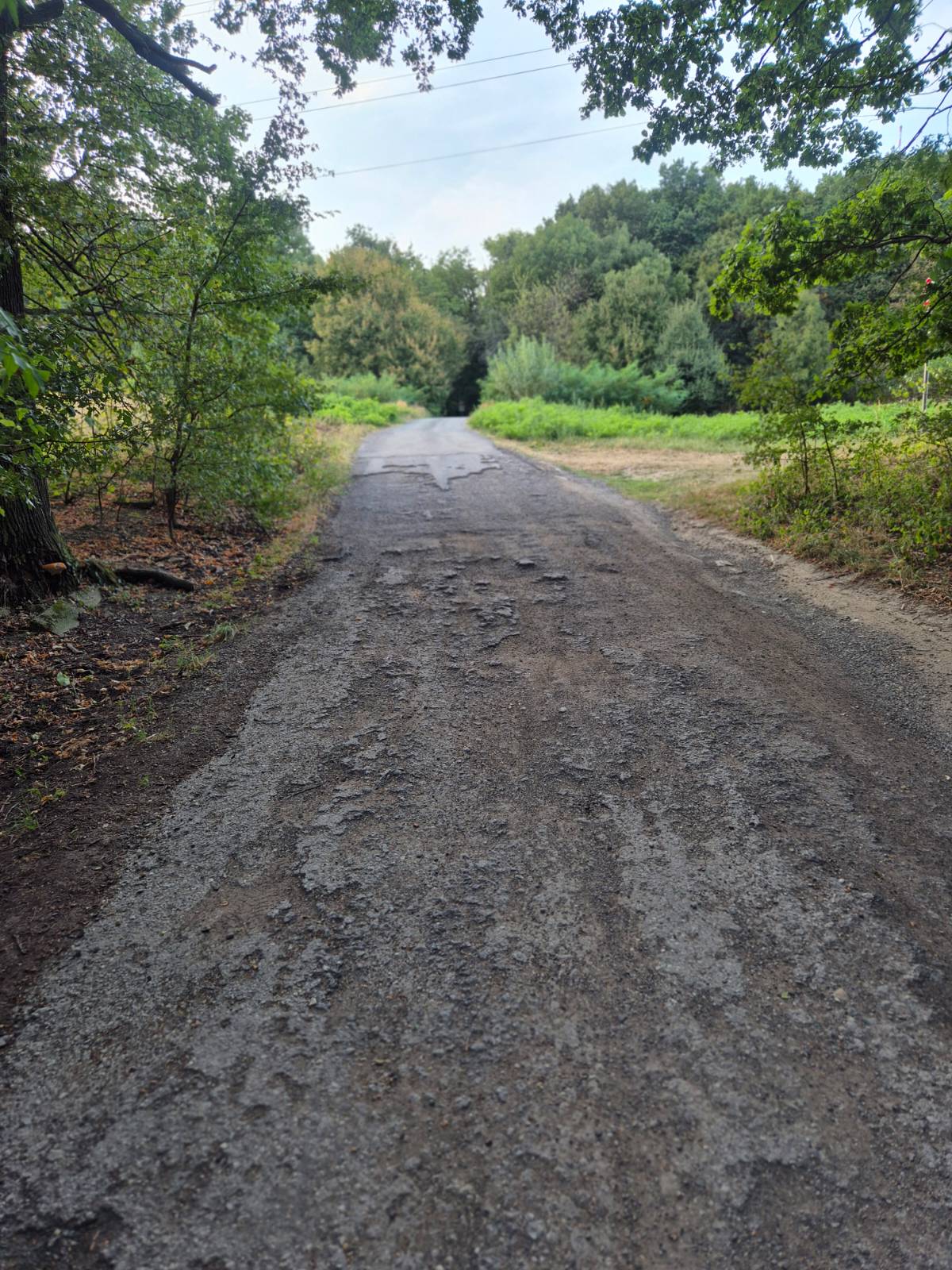 Opravené boli cyklotrasy a turistické chodníky v celkovej dĺžke dva kilometre.