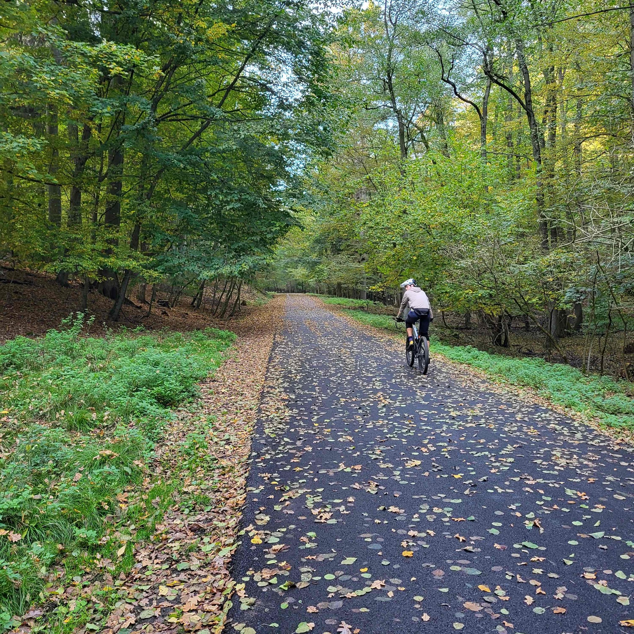 Opravené boli cyklotrasy a turistické chodníky v celkovej dĺžke dva kilometre.