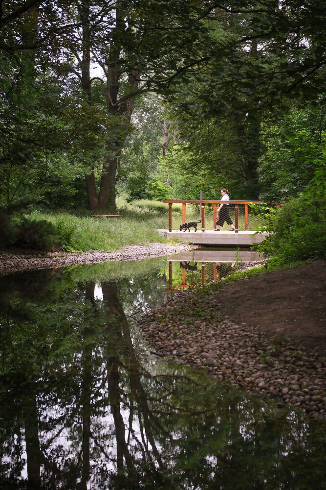 Parku často hovoria „Central park Varšavy“, a to hlavne vďaka spleti vyšliapaných ciest a polohe v centre mesta.