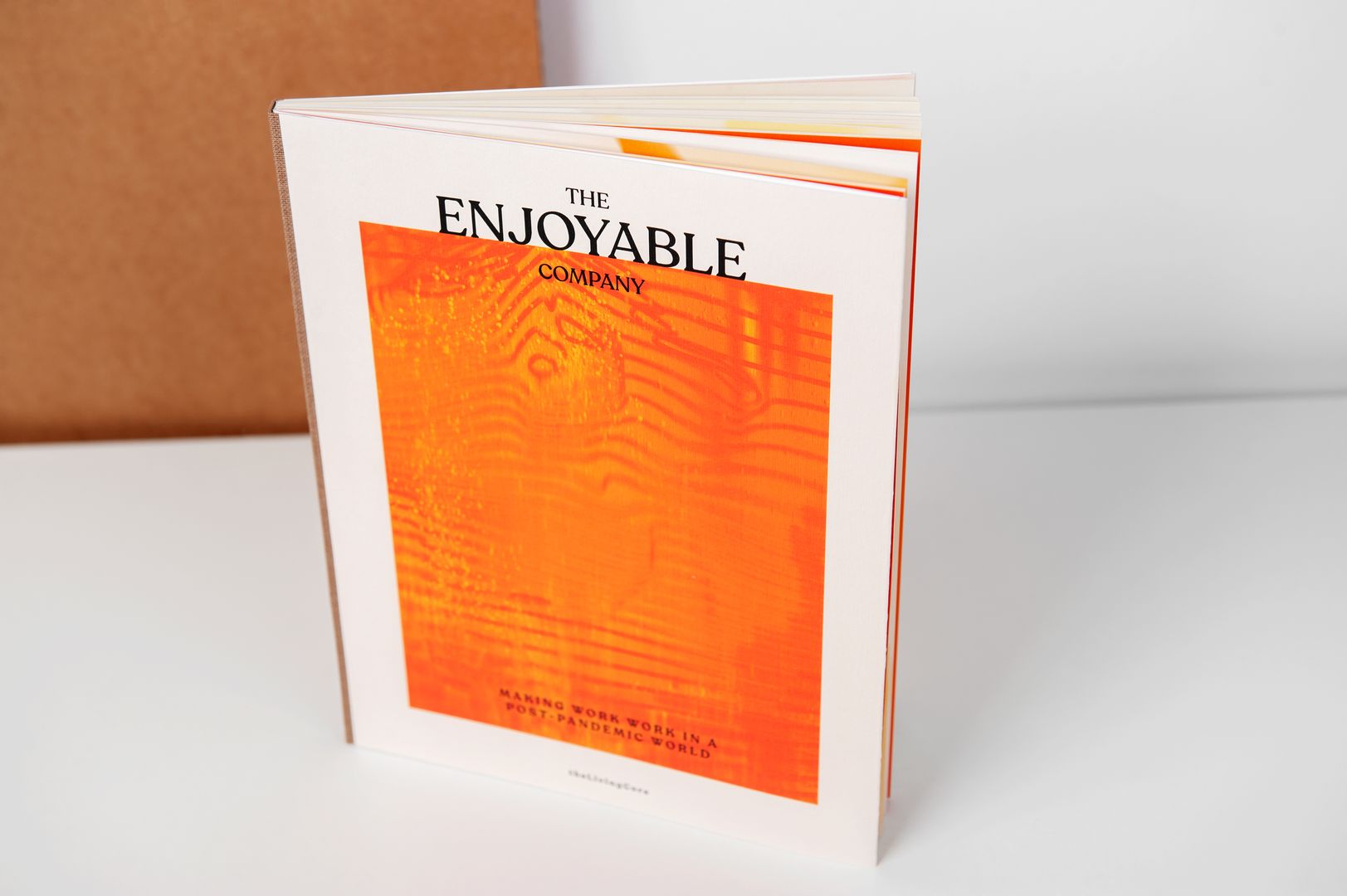 The Enjoyable Company, publikácia o tvorbe organizácii a ich priestorov napĺňajúcich ľudské psychologické potreby. autori: Thomas Fundneider, Oliver Lukitsch, Michal Matloň, Markus F. Peschl, Carina Rohrbach