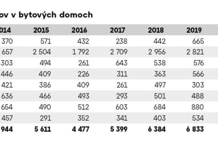 medzirocny vyvoj dekada