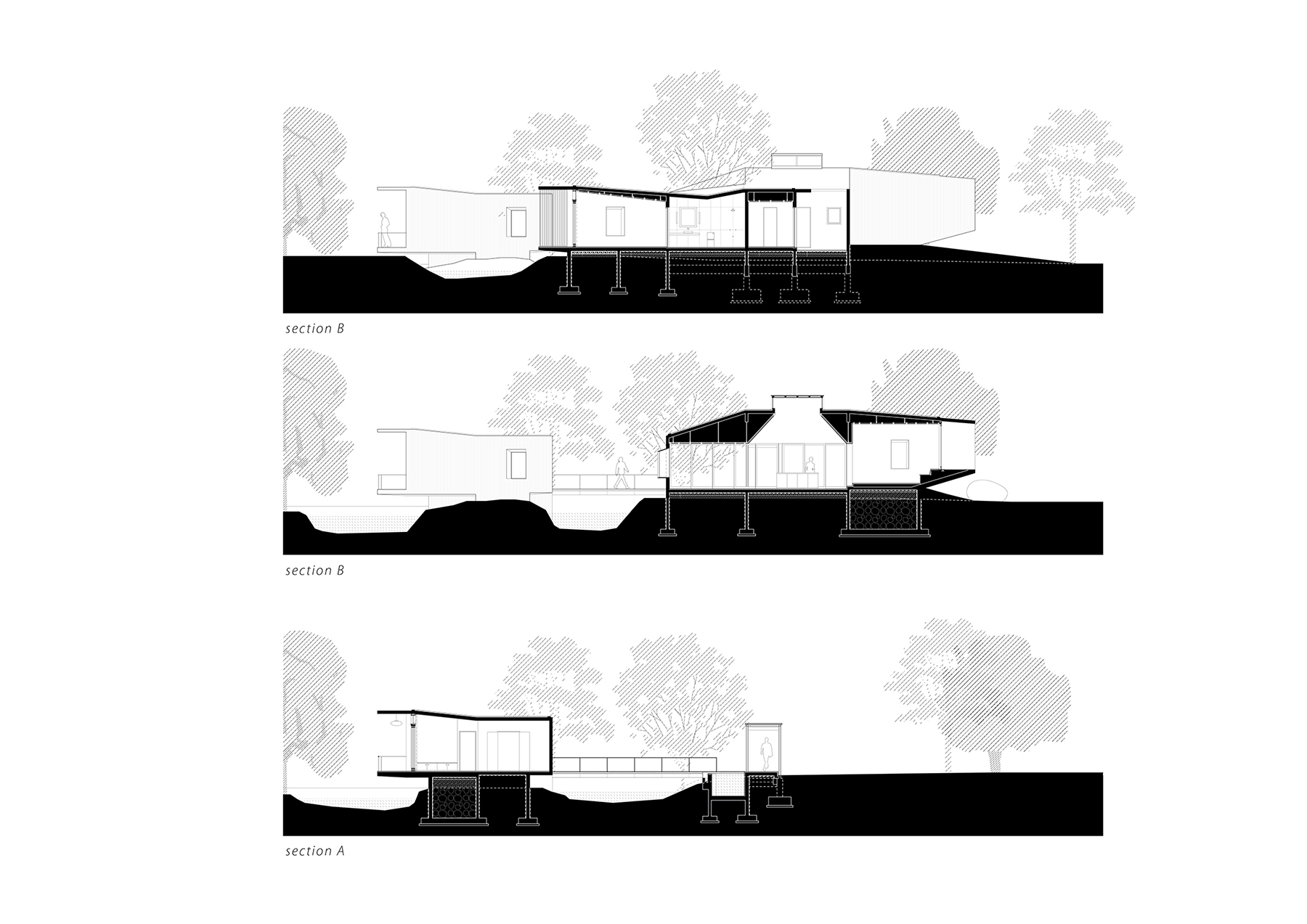 Architecture BRIO House on a Stream D04 Sections 2280px